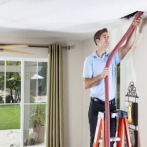 Photo of Terry's Carpet Care