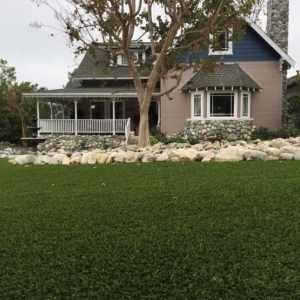 Photo of Purchase Green Artificial Grass