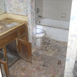 Photo of Certified Mold Consultants and Reconstruction