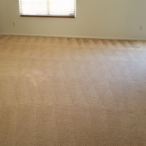 Photo of Four Seasons Carpet Cleaning