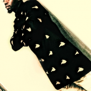 Photo of Finesse the Cleanest Handyman Service