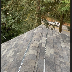 Photo of Apex Roof And Gutter