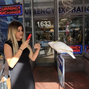 Photo of Lincoln Currency Exchange