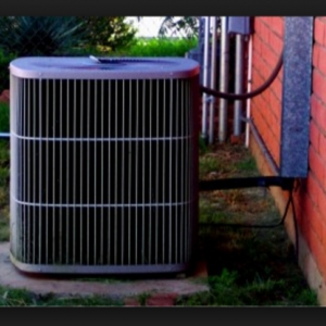Photo of Arctic Air Of Northern Florida