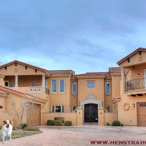 Phoenix Henstra Hounds Realty