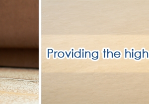 Photo of Accent Carpet & Upholstery Cleaning