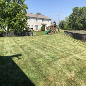 Photo of Chacon Landscaping