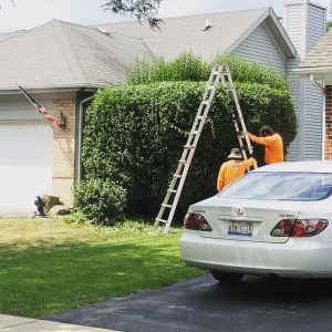 Photo of Chacon Landscaping