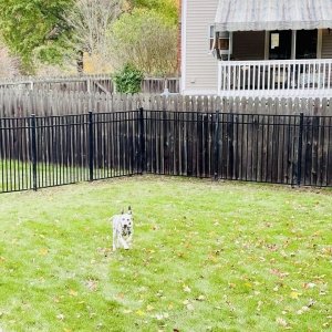 Photo of Penn Fencing
