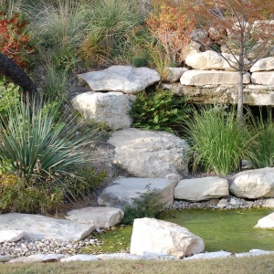 Photo of Structure Landscapes
