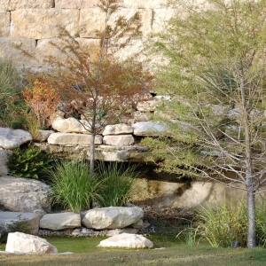 Photo of Structure Landscapes