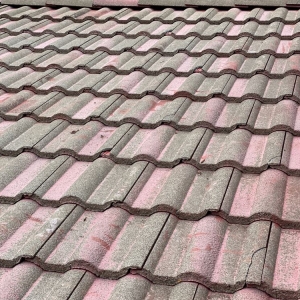 Photo of Gutter King