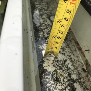 Photo of Gutter King