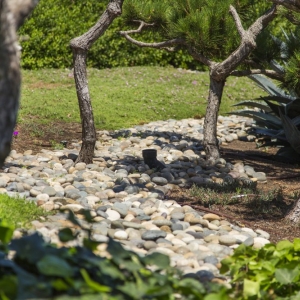 Photo of Nature Designs Landscaping