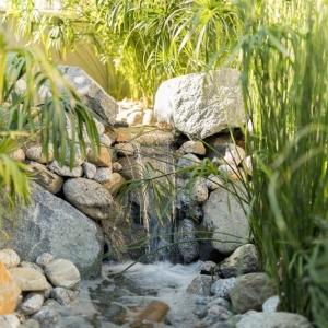 Photo of Nature Designs Landscaping
