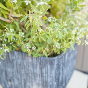 Photo of Nature Designs Landscaping