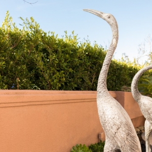 Photo of Nature Designs Landscaping