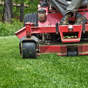 Photo of Cutting Edge Tree and Lawn