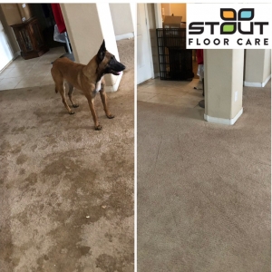 Photo of Stout Floor Care