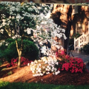 Photo of Carolina Landscaping