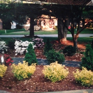 Photo of Carolina Landscaping