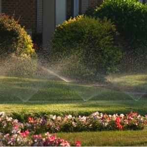 Photo of Emerald Rich Lawns