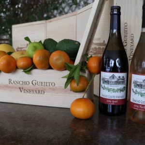 Photo of Rancho Guejito Vineyard