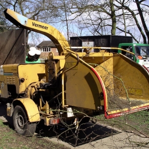 Photo of Los Angeles CA Tree Service