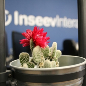Photo of Inseev Interactive