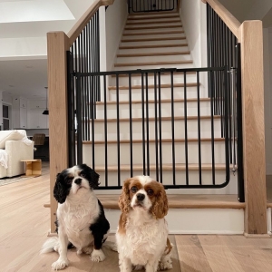 Photo of Baby Gates Of Atlanta