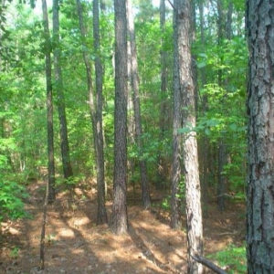Photo of Henderson & Associates