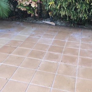 Photo of Dirty Floors Cleaning and Restoration
