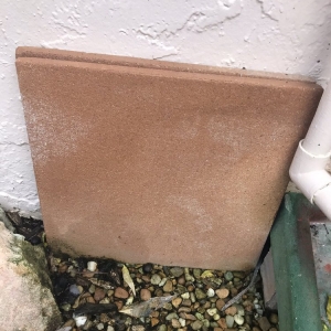 Photo of Dirty Floors Cleaning and Restoration