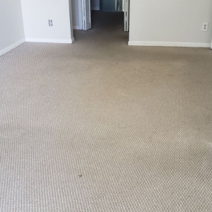 Photo of Dirty Floors Cleaning and Restoration
