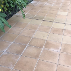 Photo of Dirty Floors Cleaning and Restoration