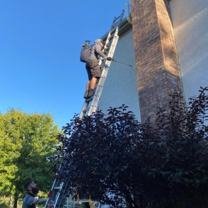 Photo of Whempys Chimney Services