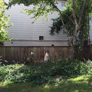 Photo of Gutierrez Landscape and Outdoor Services