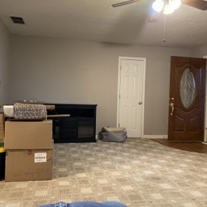 Photo of The Carpet Man Indy