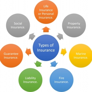 Photo of Daddy's Insurance