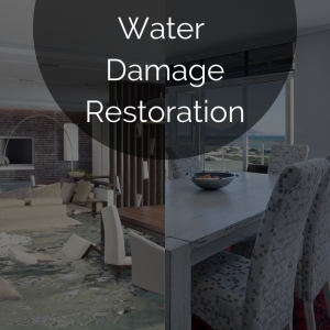 Photo of Allied Restoration Services