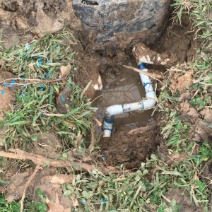 Photo of Loyalty Plumbing