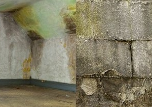 Photo of Paul Davis Restoration