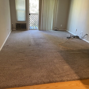 Photo of Conder Carpet Cleaning