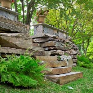 Photo of Live Green Landscape Associates