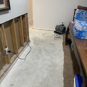 Photo of Chiko's DC Handyman