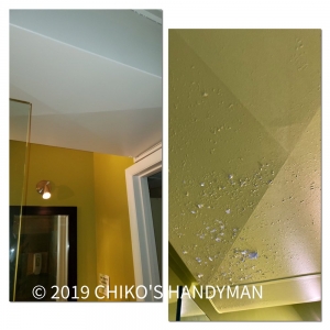 Photo of Chiko's DC Handyman