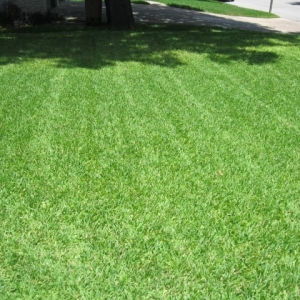 Photo of Quiet Cuts Lawn Service