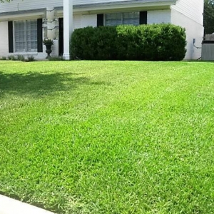 Photo of Quiet Cuts Lawn Service