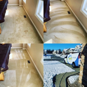 Photo of Trent's Carpet Cleaning & Restoration