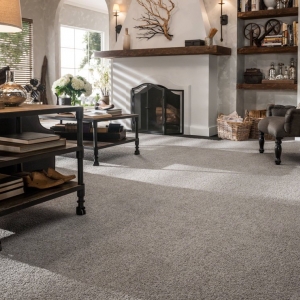 Photo of Trent's Carpet Cleaning & Restoration